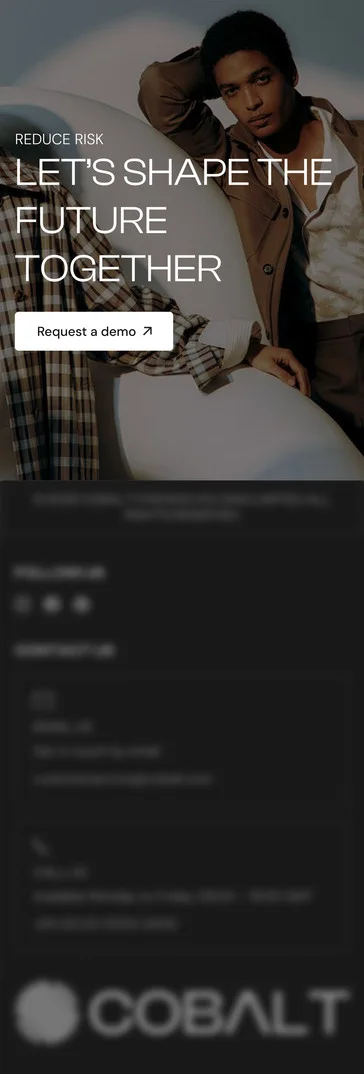 Home page, footer with the final demo request